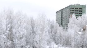 Главврач Вологодской областной больницы рассказал какой для медиков выдалась новогодняя ночь