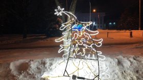 Укравших светящуюся ель с улицы Пушкинской Вологды мэр города назвал вологадами