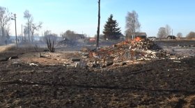 Пожар в деревне Вожегодского района: сгорели 12 домов 