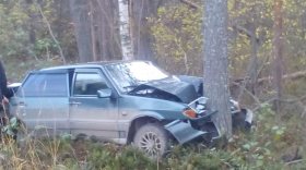 В Вытегорском районе женщина за рулем ВАЗа врезалась в дерево и погибла