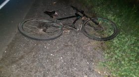 17-летнего велосипедиста насмерть сбили в Вытегорском районе 