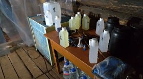 Житель Череповца производил наркотики в подпольной лаборатории в Чагодощенском районе