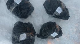 В Вологодском районе из тайников изъяли 1,5 килограмма запрещённых веществ