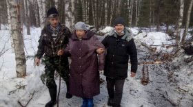 В Усть-Кубинском районе пенсионерка потерялась и провела ночь в лесу
