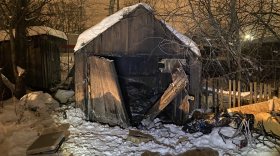 Женщина погибла в пожаре в Вологде ночью 14 февраля
