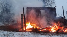Житель Белозерского района сгорел вместе с домом