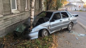 В Вологде пьяный водитель пытался скрыться от полицейских и врезался в дерево