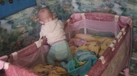 Семья с шестью детьми осталась без матери в результате ДТП в Вологодской области