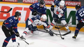 Хоккеисты череповецкой «Северстали» завершили календарный год победой над нижегородский «Торпедо»