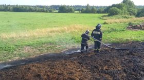 В Сокольском районе сгорел силос: площадь пожара составила 240 квадратных метров