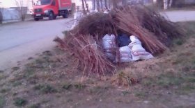 В Шекснинском районе чиновники обвинили организатора субботника в незаконной свалке мусора