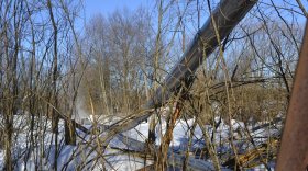 В Устюженском районе рухнула воздушная теплотрасса