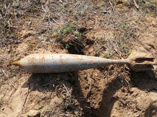В Вологодском районе поисковики обнаружили минометную мину 