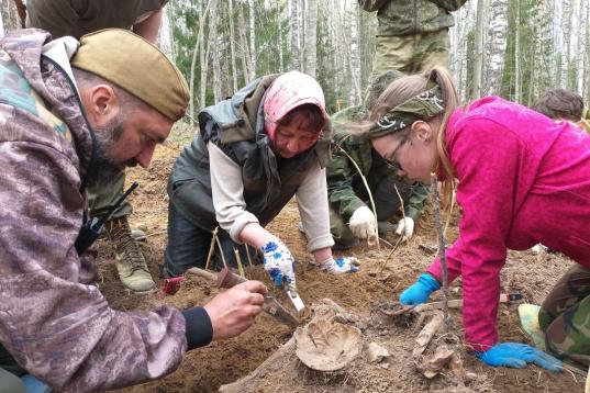 Останки 49 красноармейцев обнаружили вологодские поисковики во время экспедиции в Ленобласти