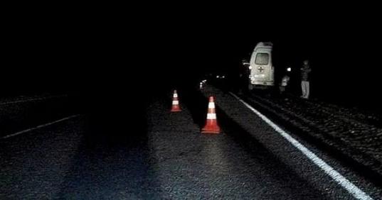 В Сокольском районе водитель «Рено» насмерть сбил пешехода, который шел вечером вдоль дороги