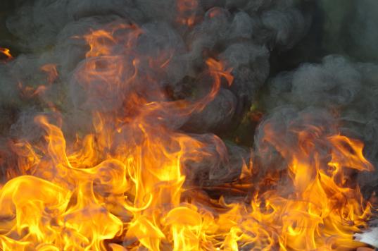Пять человек погибли на пожарах в Вологодской области 9 и 10 мая