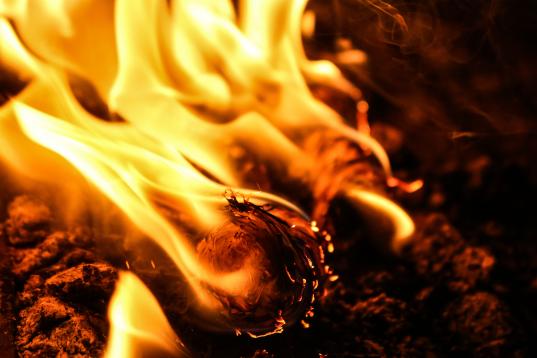 Двое мужчин погибли на пожарах в Вологодской области за сутки 