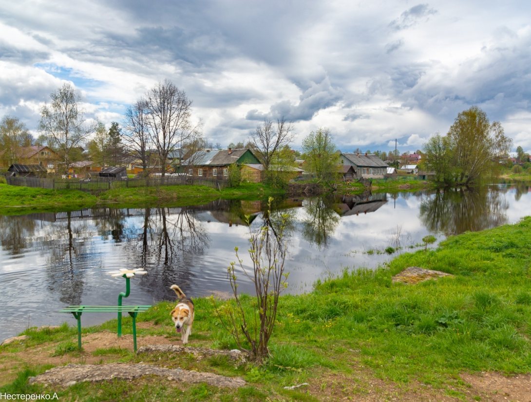 Село им.Бабушкина. Часть первая | newsvo.ru