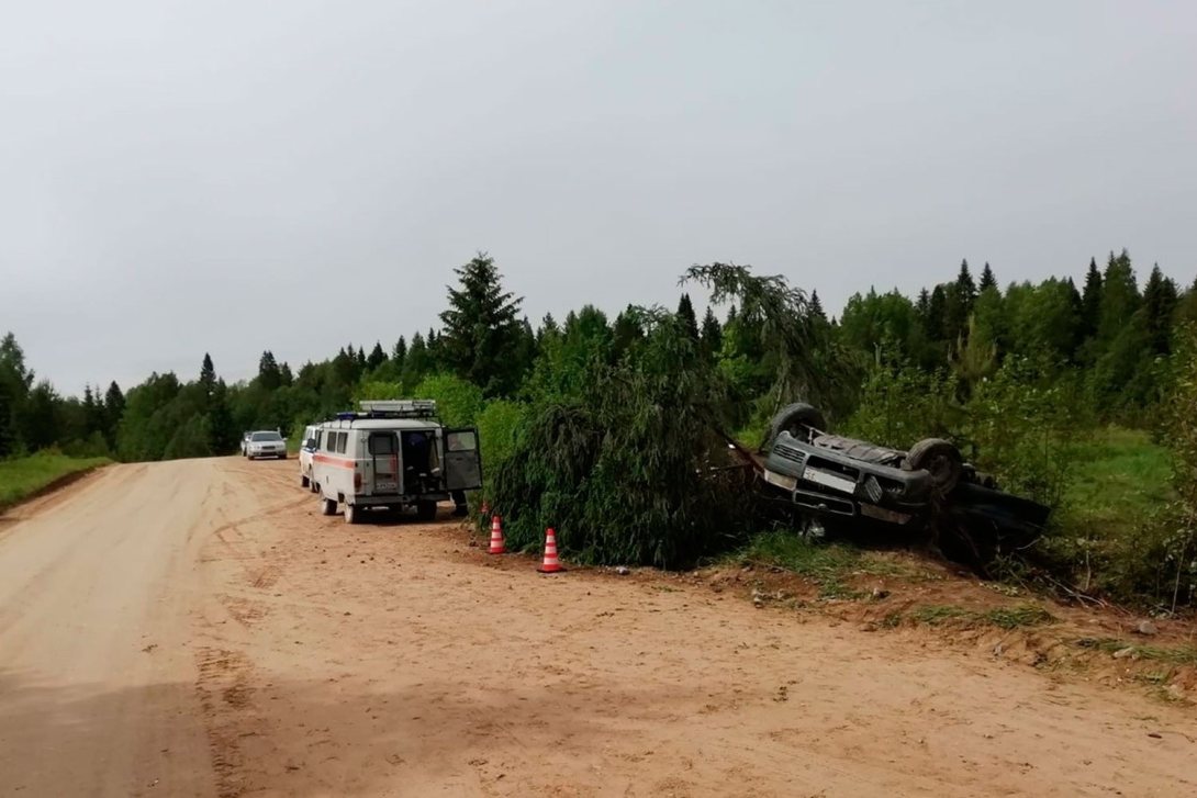В Вожегодском округе машина въехала в дерево: водитель и пассажир погибли