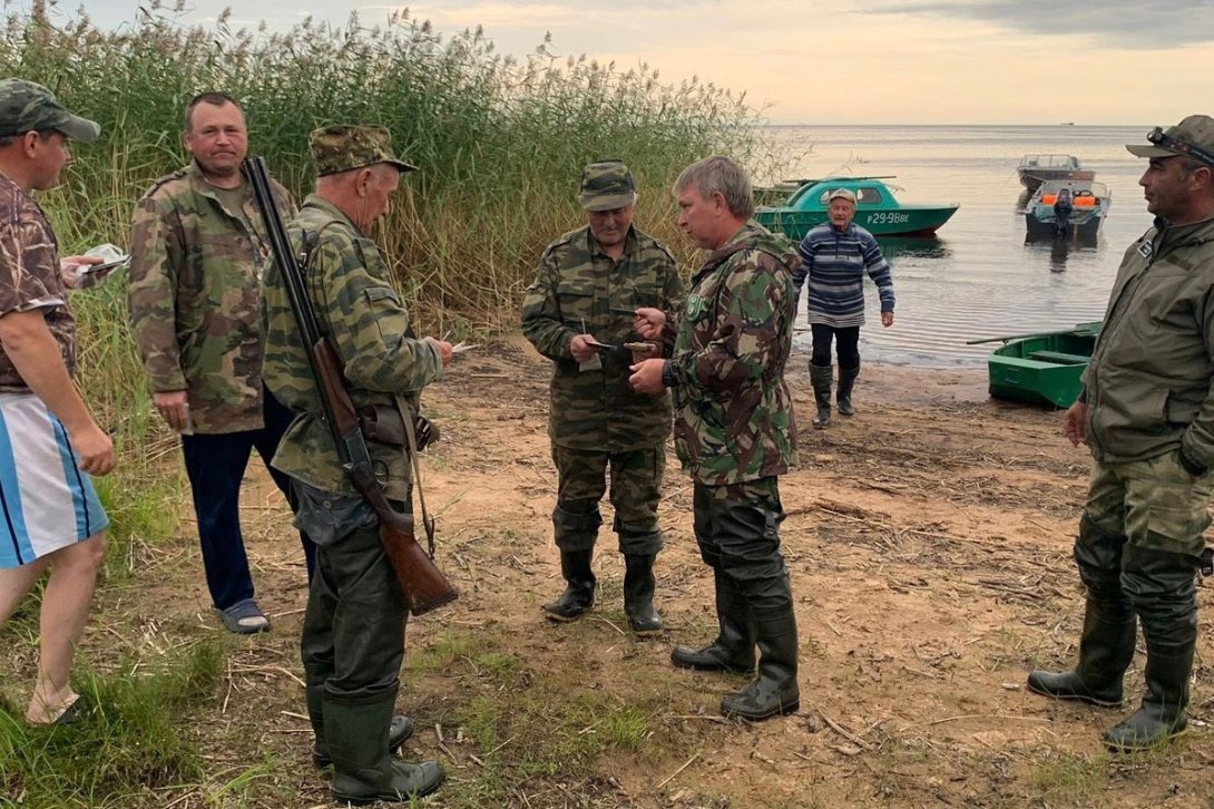 В Вологодской области возбуждено 12 уголовных дел о незаконной добыче лосей