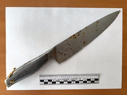 Ударил ножом и выбросил в подъезд: житель Красавино осужден за убийство бывшей 
