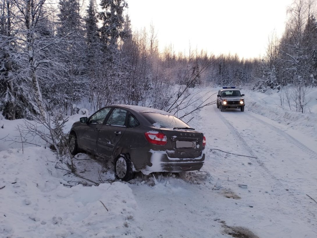 В Вологодской области полицейские спасли застрявшую на машине в снегу семью