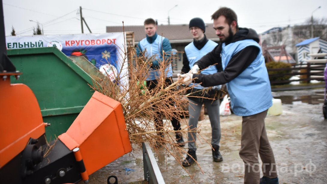 В Вологде будут принимать на переработку новогодние елки