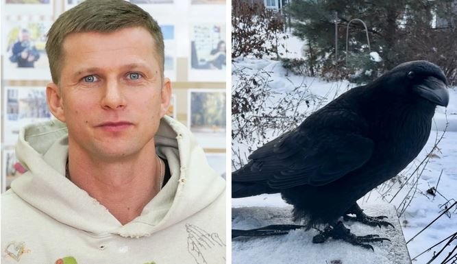 Пропавший ворон популярного актера обнаружился в Грязовце