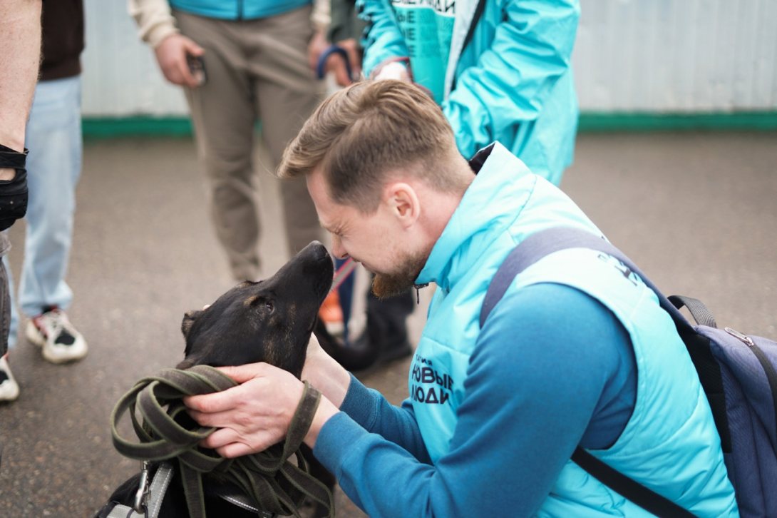 Первый Зоосубботник в приюте для животных провели в Соколе активисты «Новых людей»