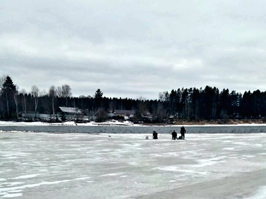 В Череповецком районе спасли трех рыбаков, плывших на отколовшейся льдине