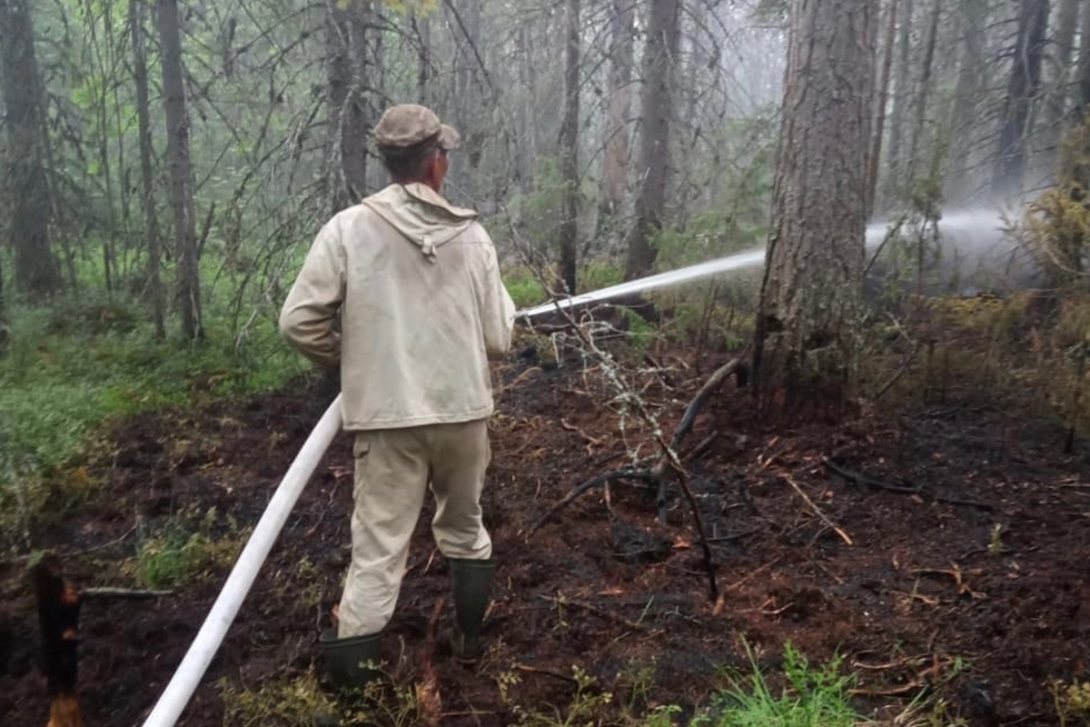 Неосторожное обращение с огнем привело к двум лесным пожарам на Вологодчине