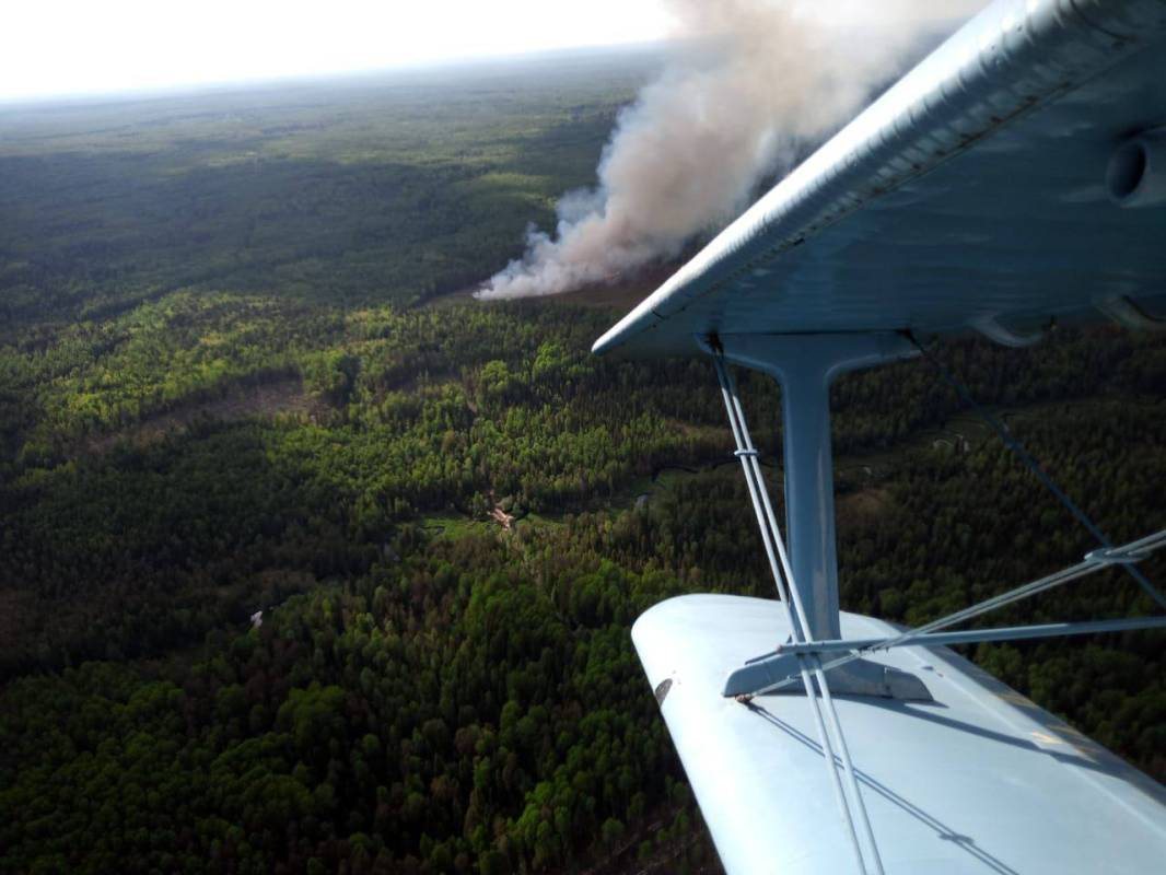 За неделю в Вологодской области потушили шесть лесных пожаров