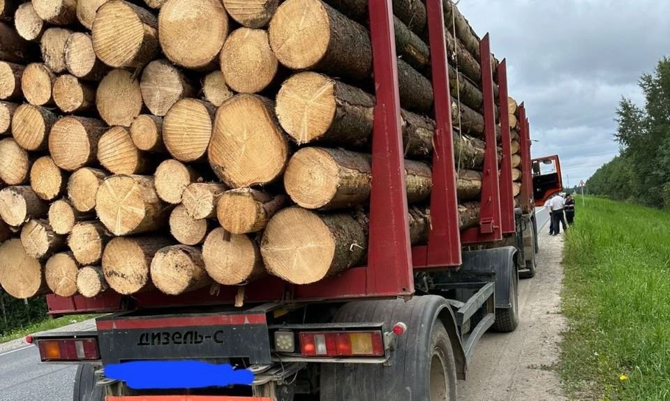 Рейды по выявлению незаконной перевозке древесины начались в Вологодской