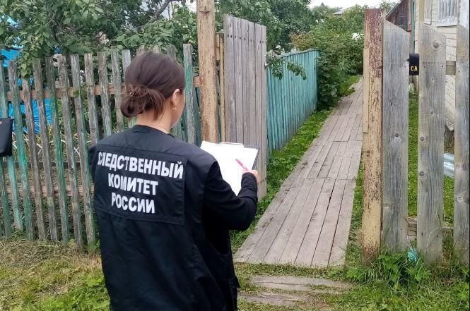 Следствие раскрыло подробности жестокого убийства пожилой женщины в Грязовце