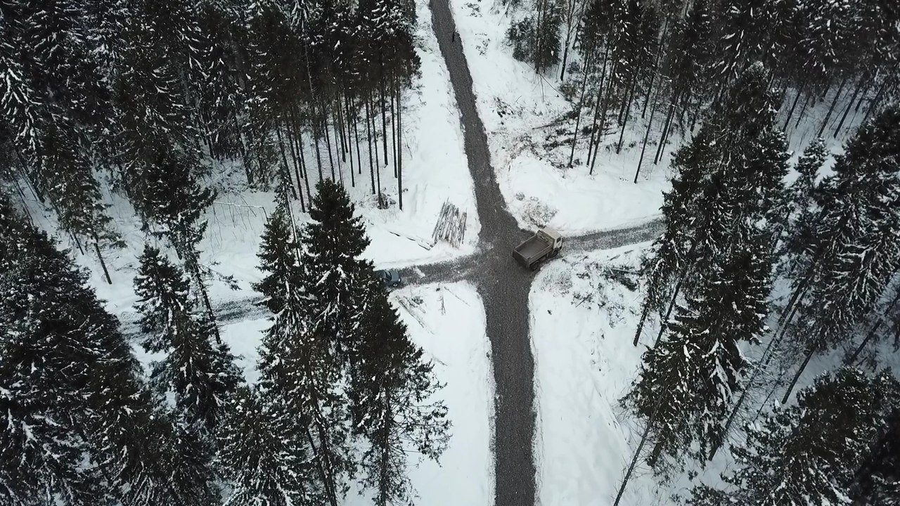 В Череповце вырубают уникальный лес в черте города | newsvo.ru