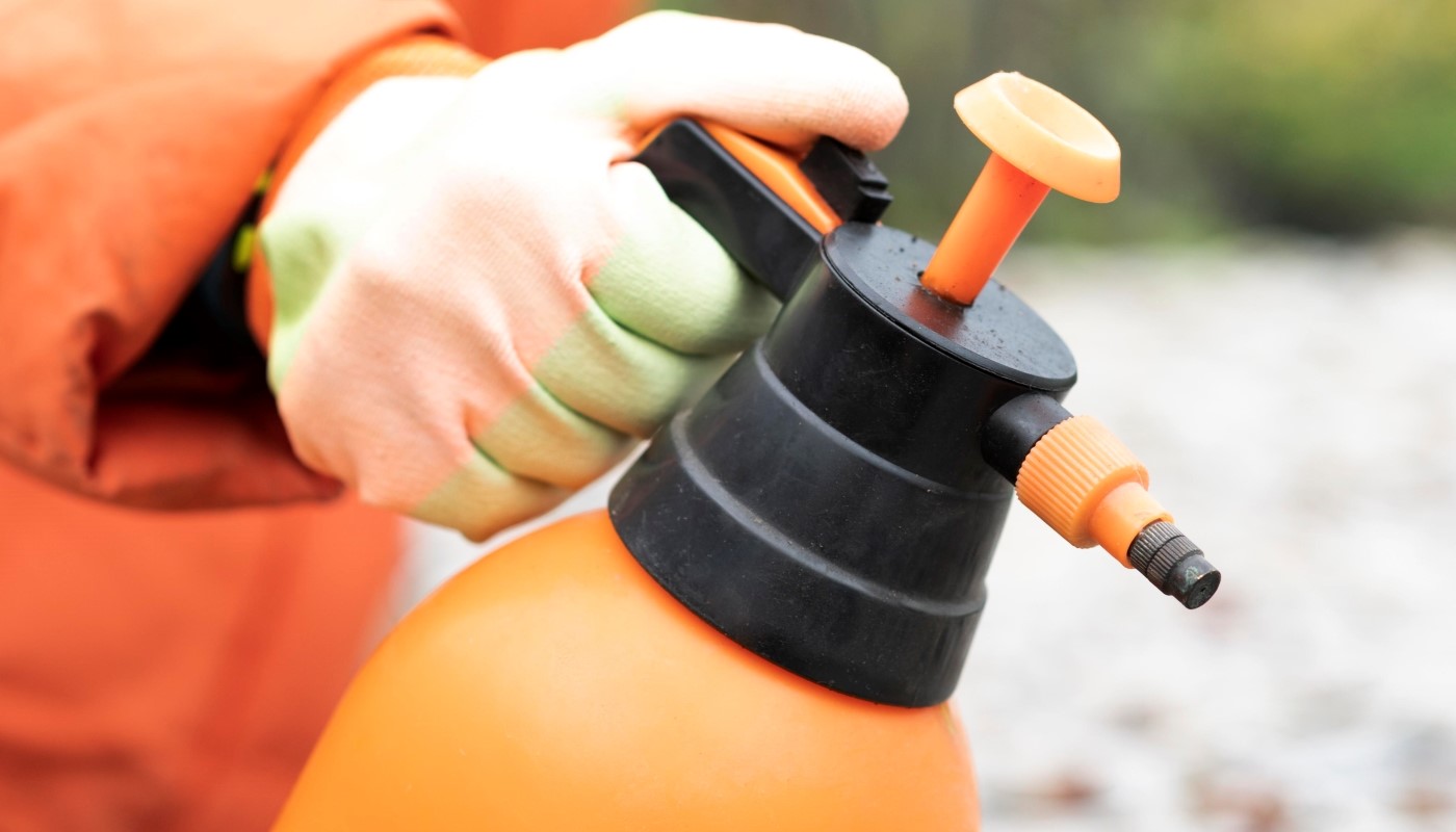 Защитит сад от вредителей и инфекций на весь сезон: этим составом опрыскиваю растения ранней весной