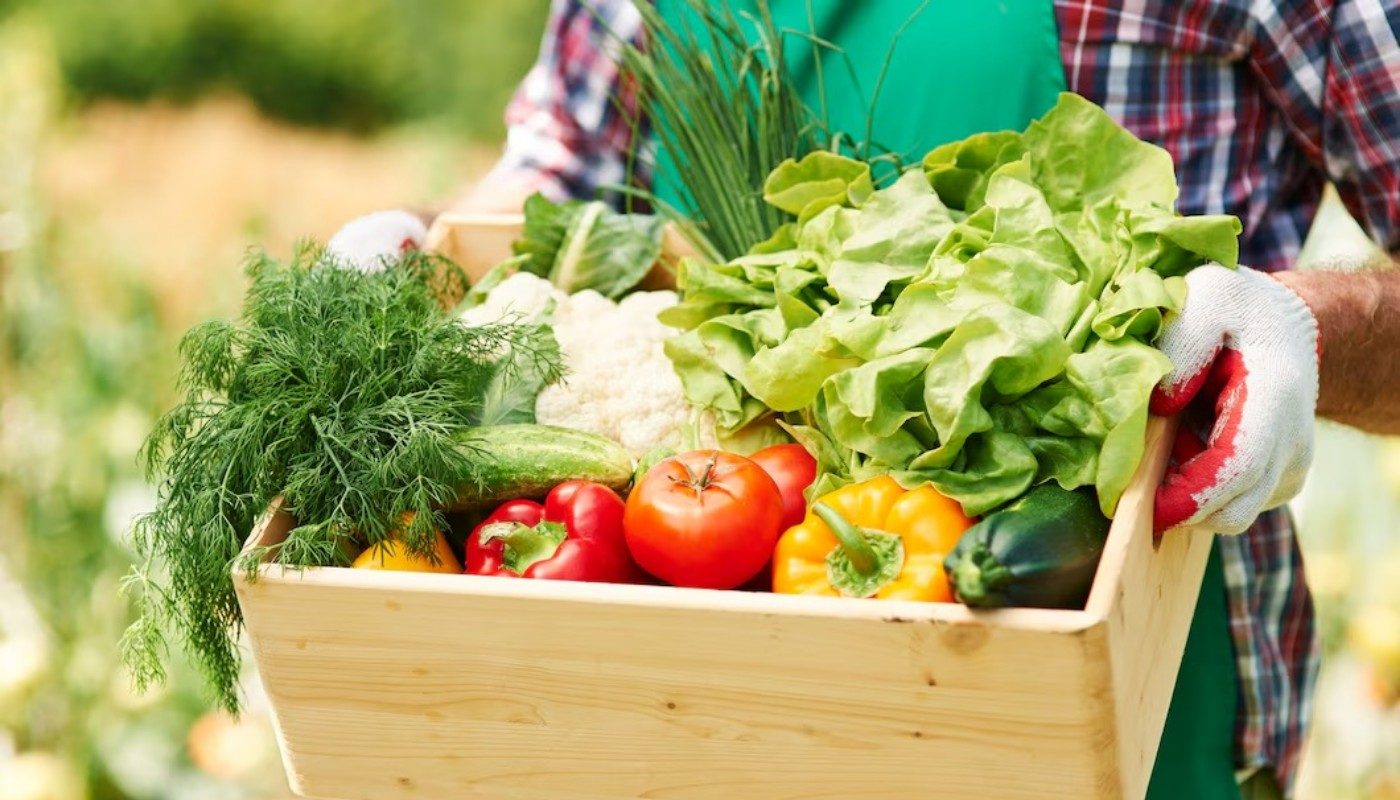 С 5 соток снимаю большой урожай помидоров, картошки, клубники! Теперь подкармливаю растения в саду только так