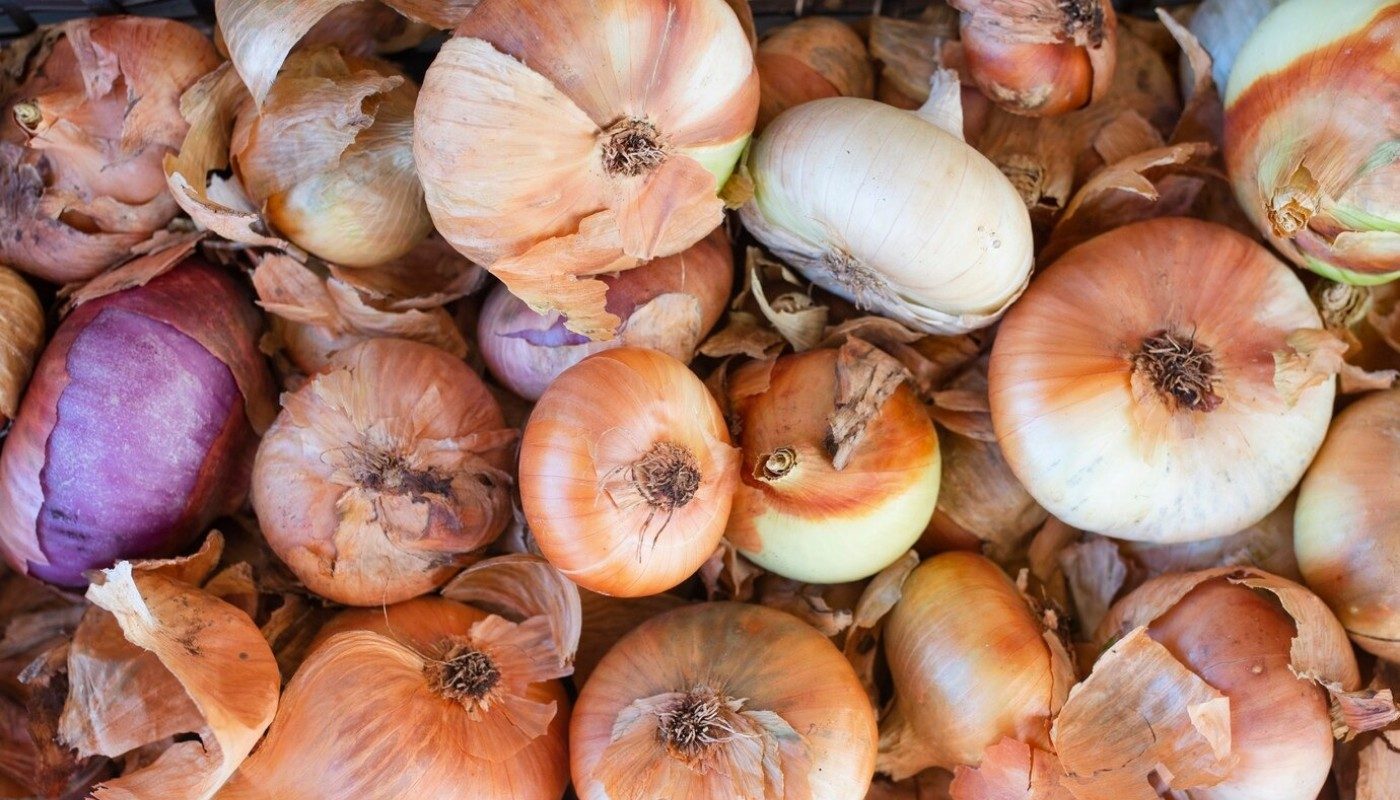 Лук крупный и без стрелок! Замочите севок в этой воде на 3 часа — и большой урожай вам обеспечен