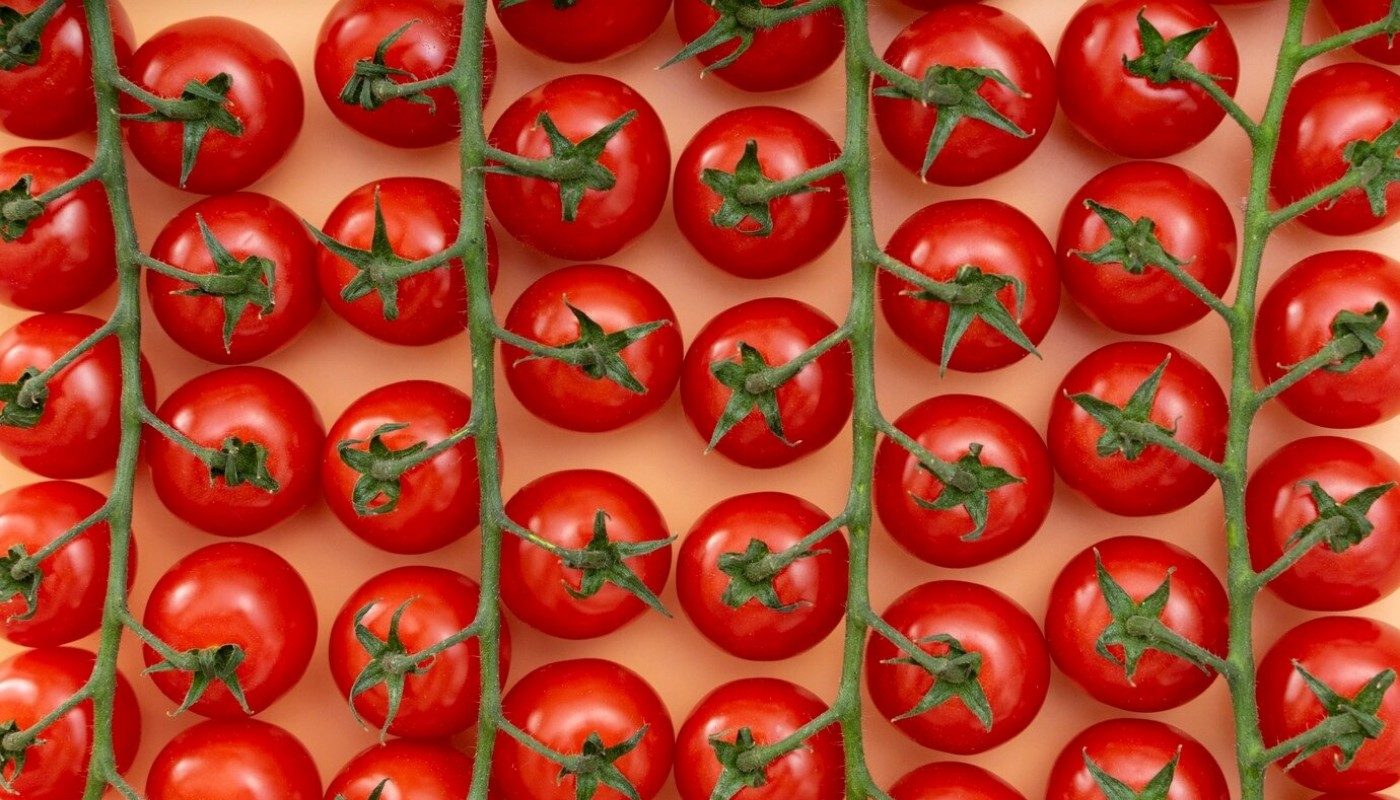 Помидоры будете ведрами снимать! Бросьте в лунку 1 ложку этой специи — и растения получат мощный стимул к росту