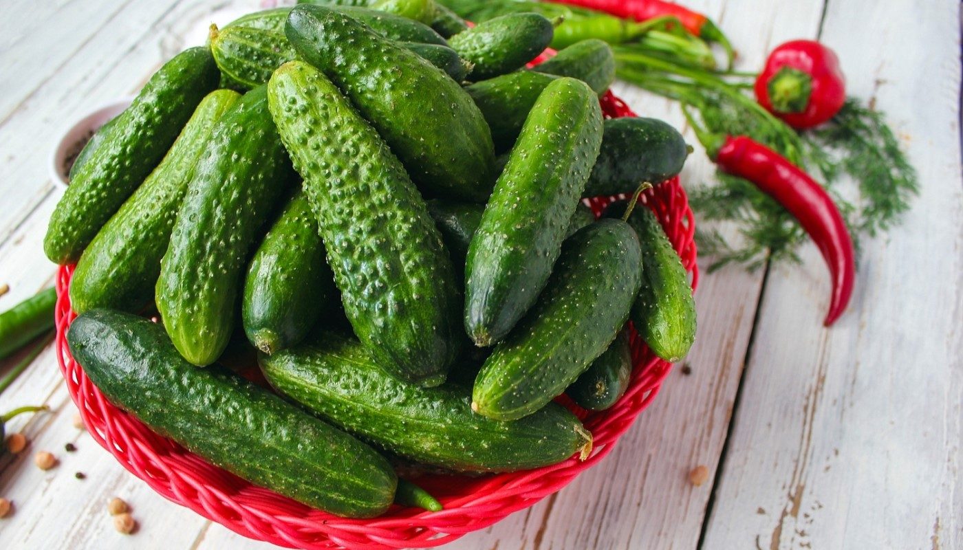 Куда посадить огурцы, чтобы получить урожай раньше соседей: проверенные лайфхаки