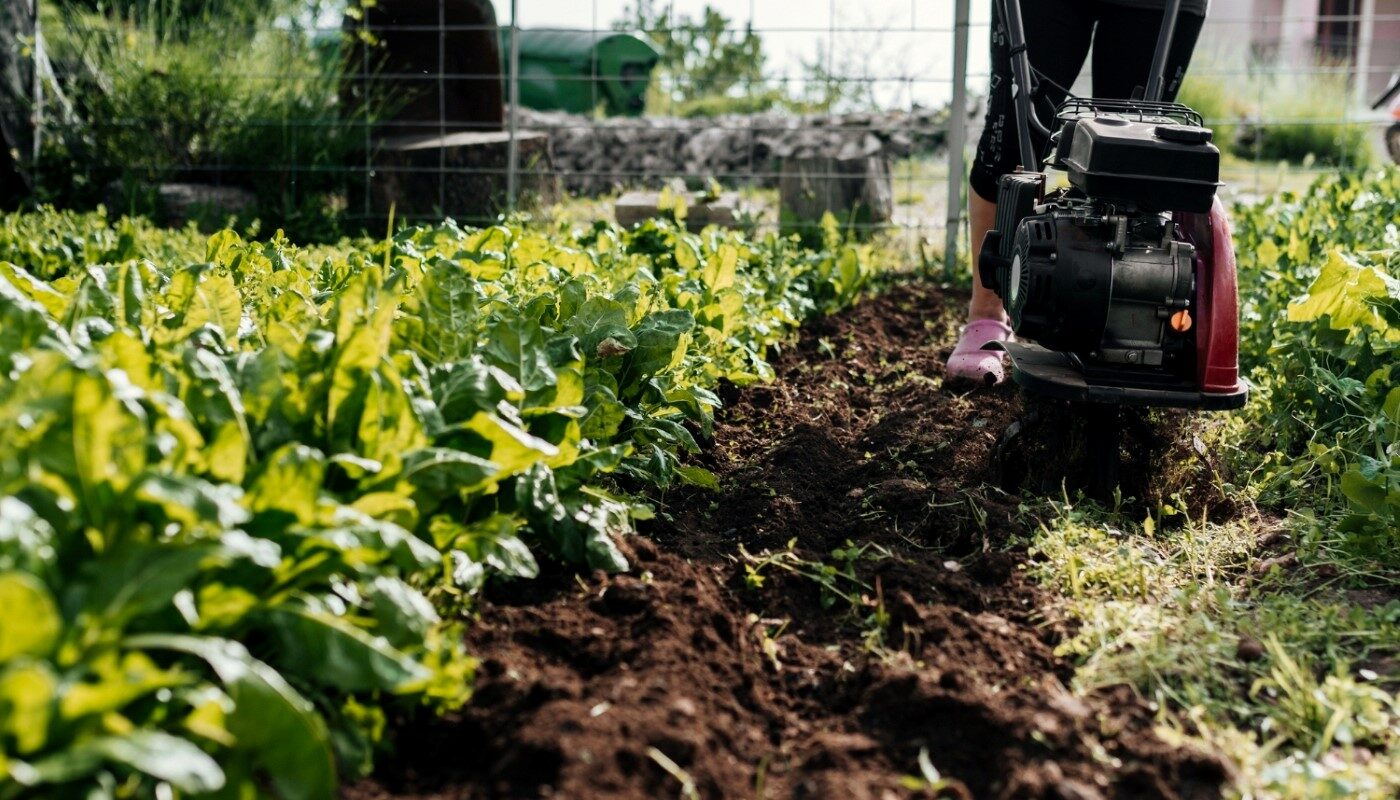 Урожайность культур повысится в 2 раза: бросаю на грядки этот материал и беды не знаю