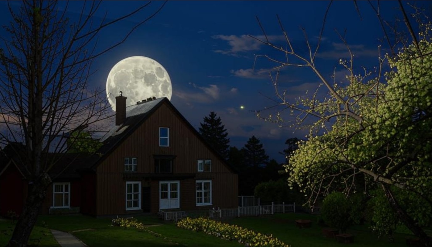 Не упустите отличный день: лунный календарь для огородников на 1 мая 2025