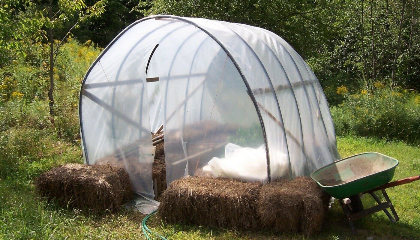 Высаживаем эти культуры: лунный календарь для огородников на 24 апреля 2025