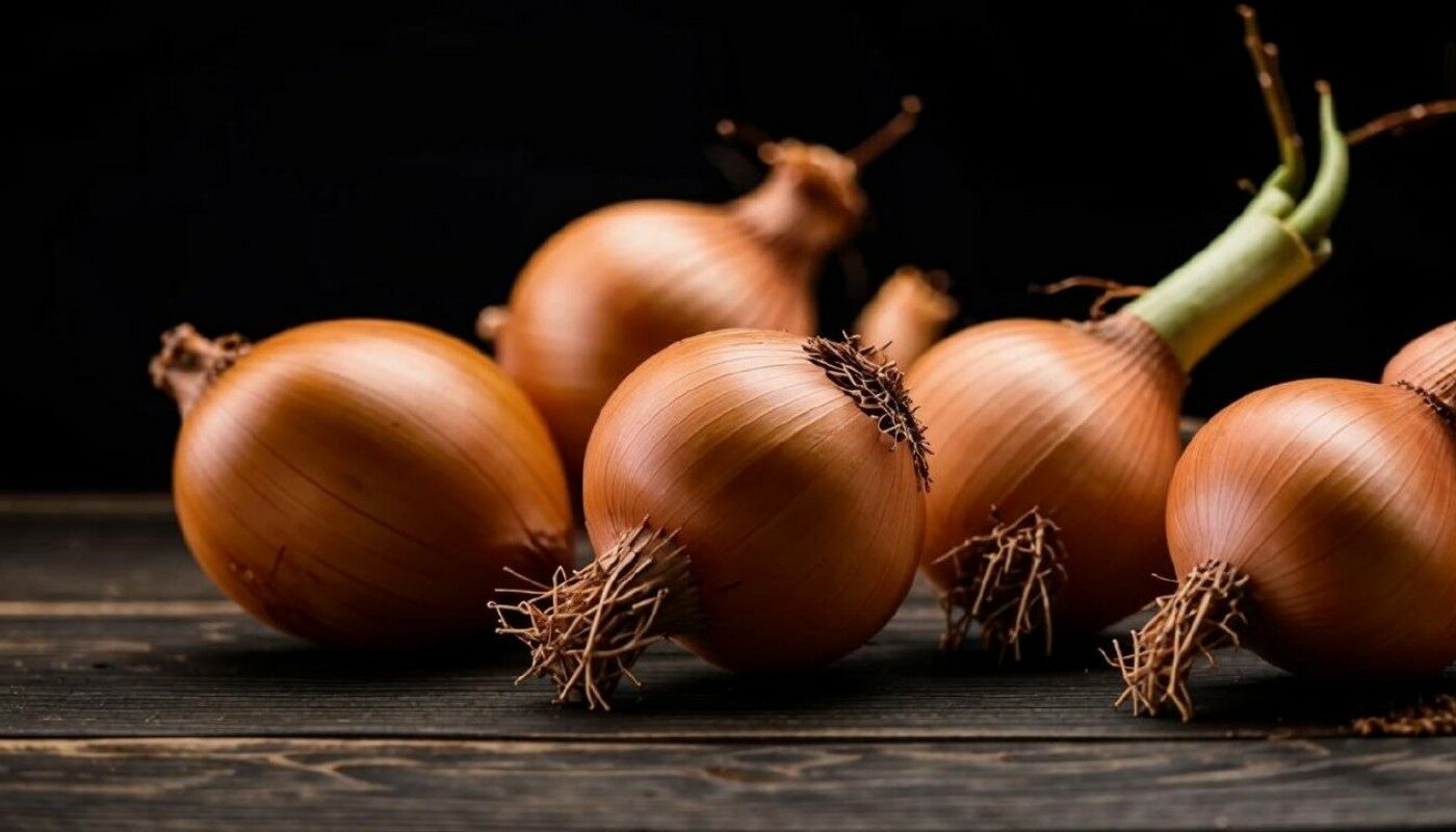 Лук не даст стрелку! По народным приметам сажайте севок до лягушачьего пения — и получайте богатый урожай