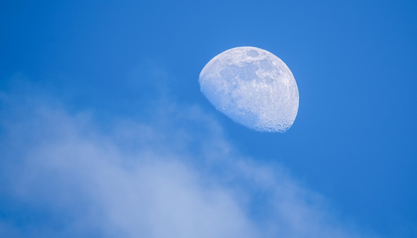 Не упустите хороший шанс: лунный календарь для огородников на 26 и 27 апреля 2025