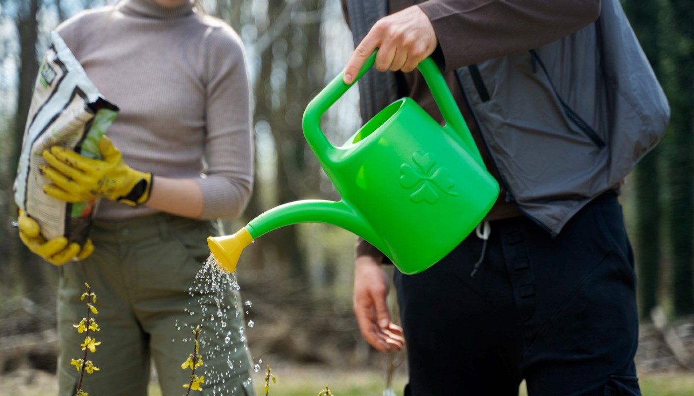 Лунный календарь для огородников на неделю с 28 апреля по 4 мая 2025: лучшие дни