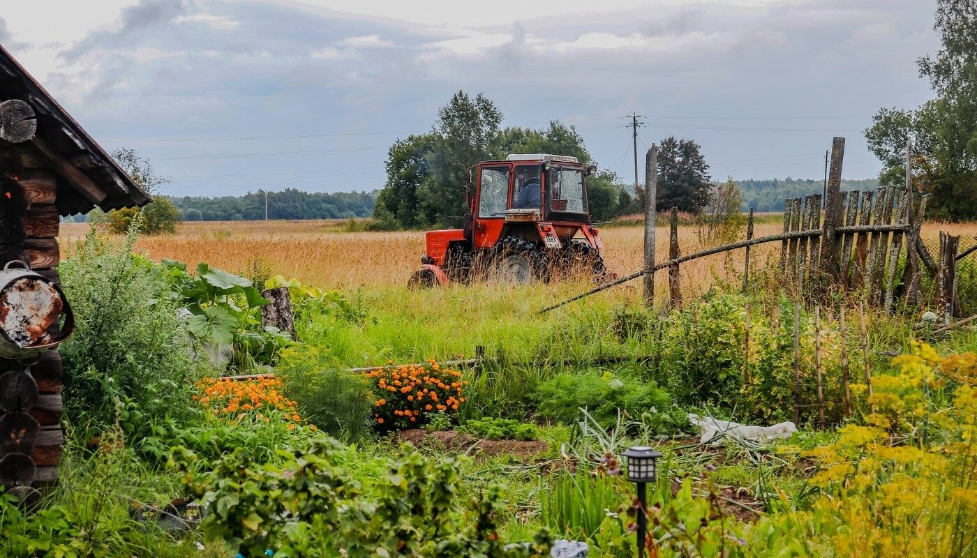 Сложный день для дачников: лунный календарь для огородников на 22 апреля 2025 года
