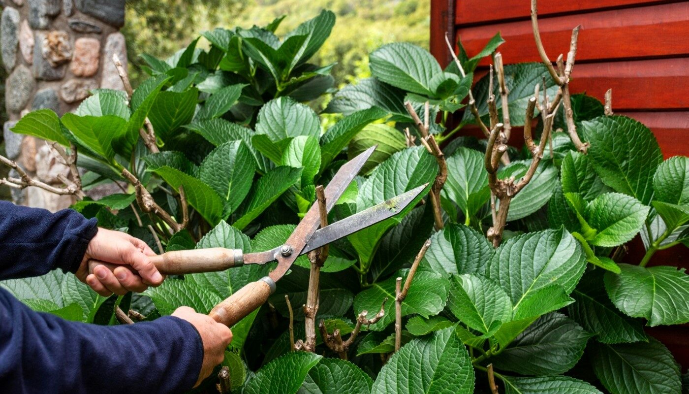 Лунный календарь для огородников на 23 апреля 2025 года: что можно высадить на даче