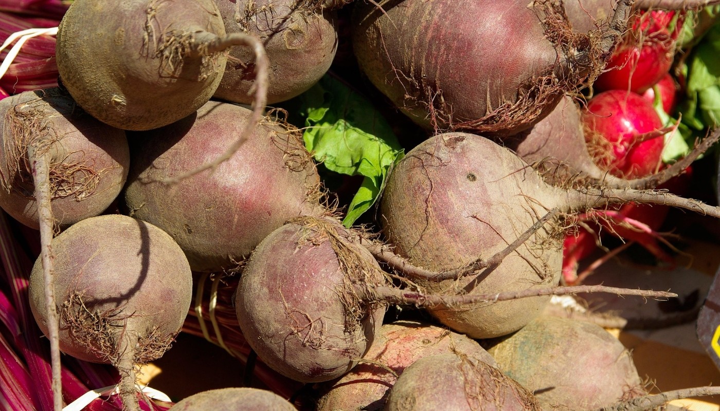 Сеем свеклу: лунный календарь, лучшие даты на апрель, май и июнь 2025 года