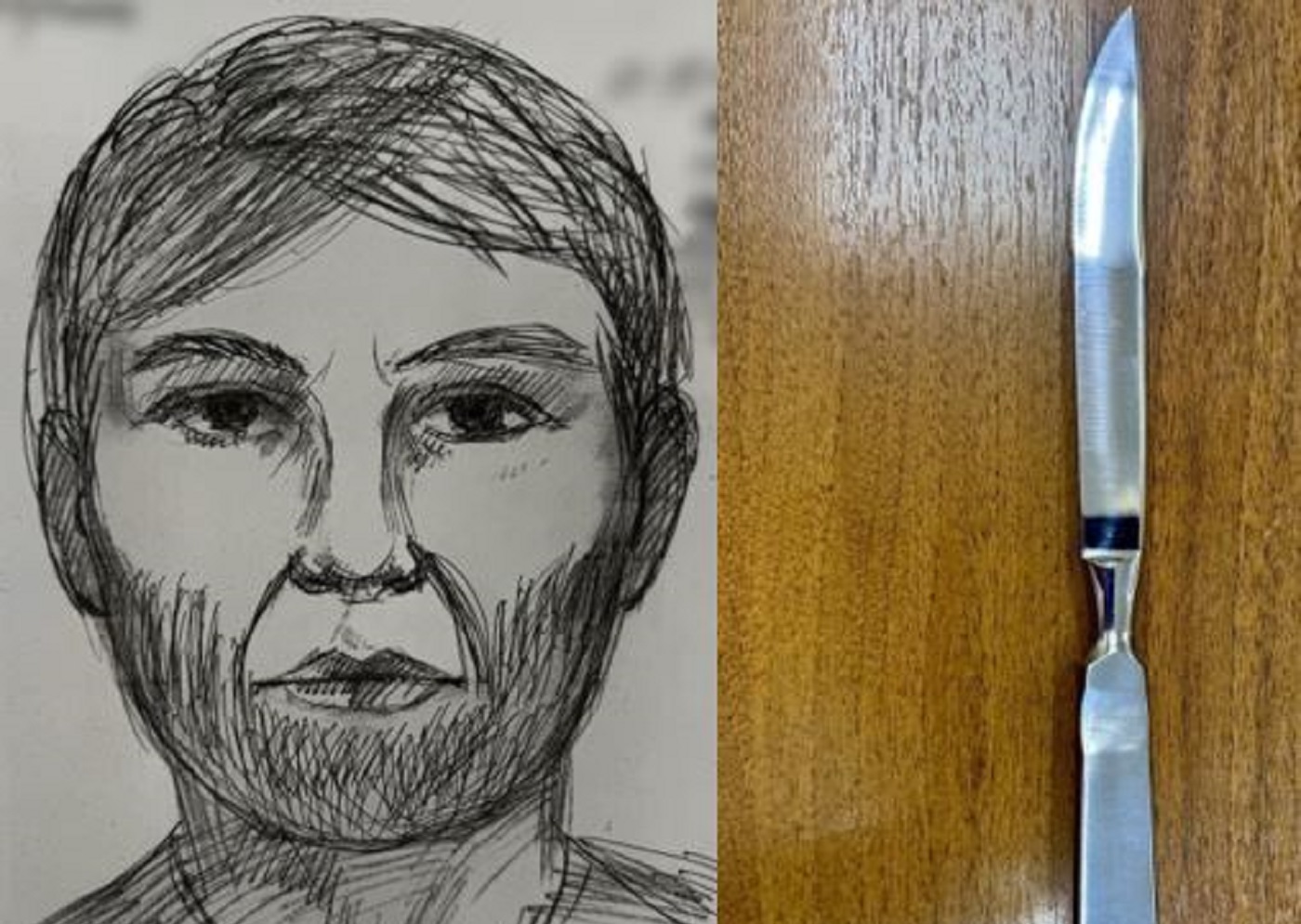 Новые детали появились у следствия в деле даниловского маньяка